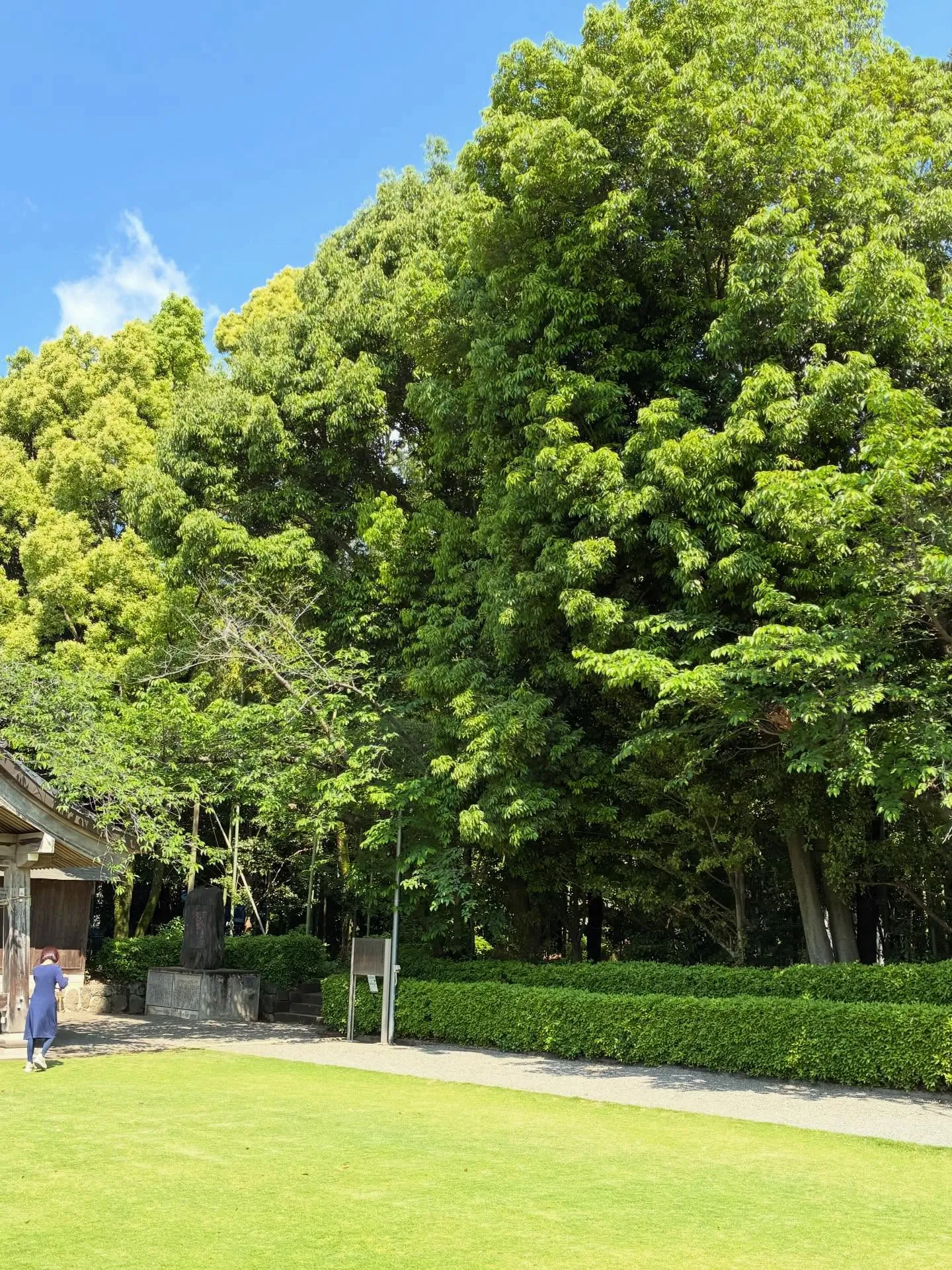 恒例の1日参り⛩️